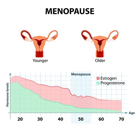 utero ispessito in menopausa